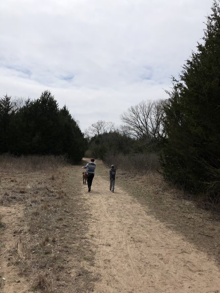 Another sandy area of the trail