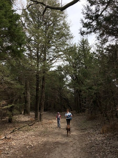 This is entering into one of the wooded areas close to the fishing lake