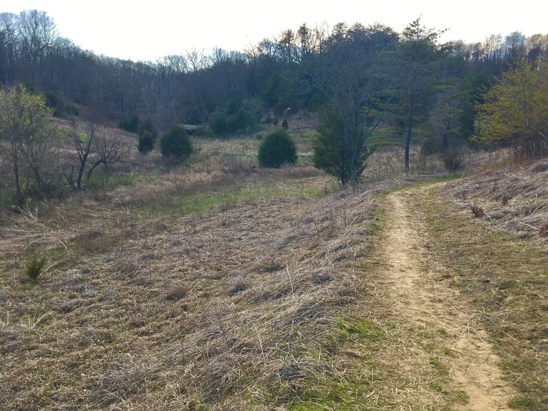 Buzzard Roost Prairie section