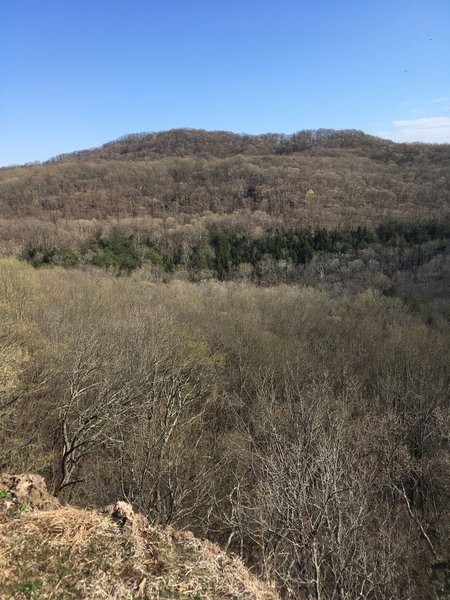 Southern view from Buzzardroost Rock Overlook