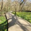 Wetland Boardwalk in Early April