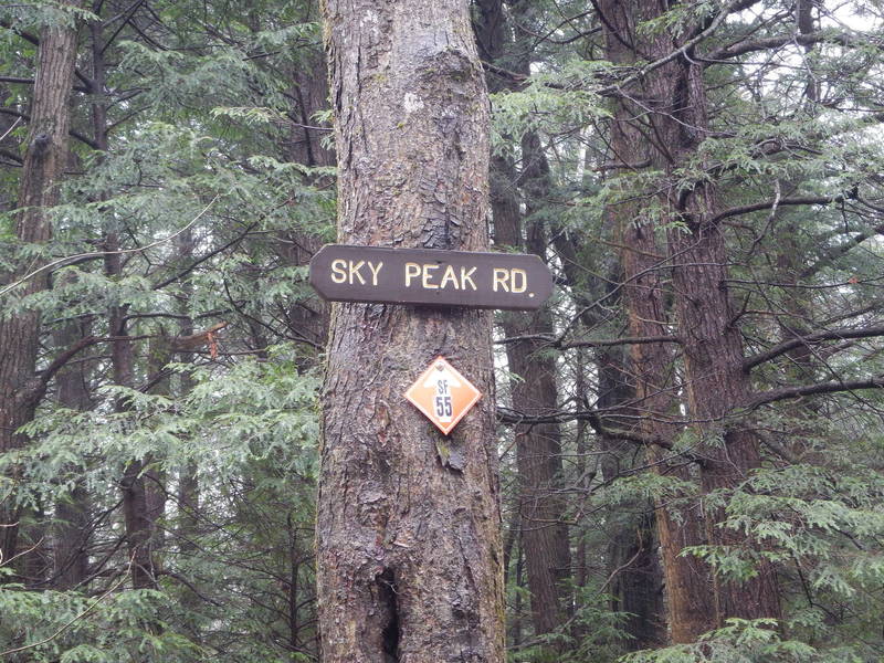 Sky Peak Road/ Snowmobile SF 55