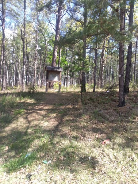 MST entrance off Redwood Road.