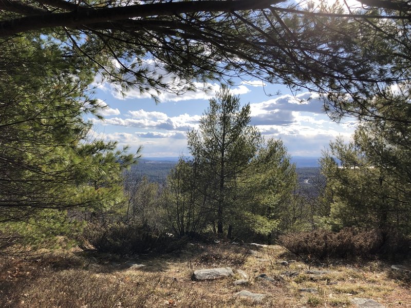 The view from a small picnic/rest area partially up Mount Rowe Trail.