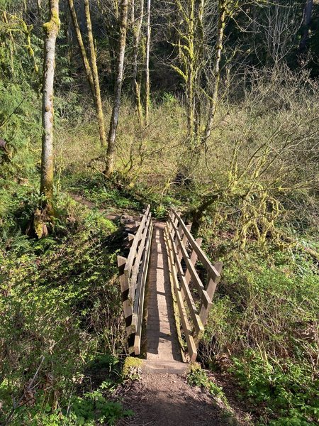 Bridge over a small creek