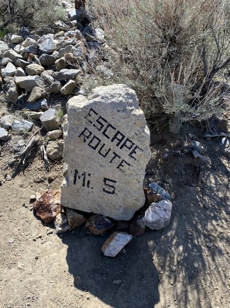 Several of these along the trail. Part of a much larger escape from the prison trail system/trail.