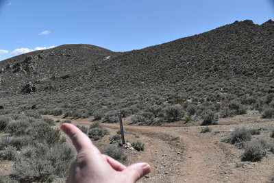 SO many overlapping mountain bike & running trails, make sure to go left when coming back down the trail!