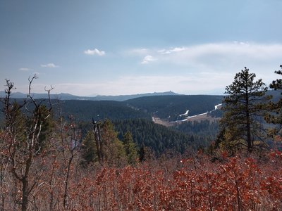 Looking south to 67.