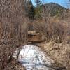 Crossing Bear Creek in early April.