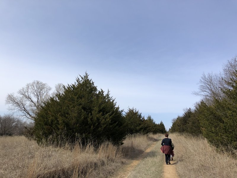 This is an access road to a storage location for the parks department equipment, but regularly hiked and allowed by the city of Wichita.