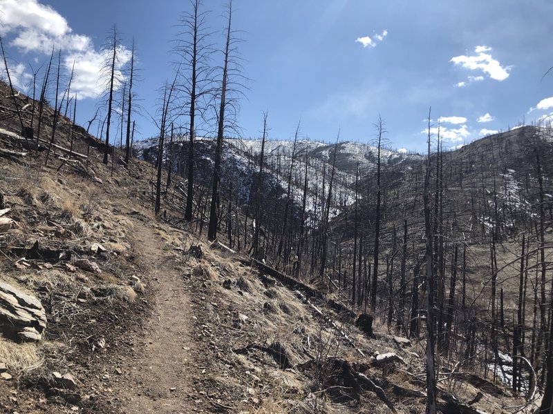 Trail climbs very steadily and gradually. Burned area provides for some great views.