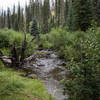 Black River from the West Fork Trail #628