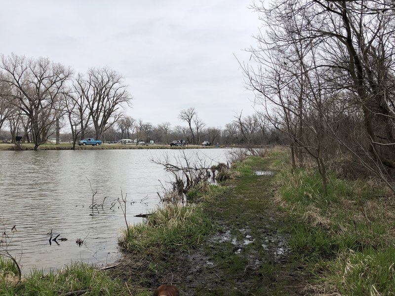 This section of trail was extremely soggy and it hadn't rained in a week or more.