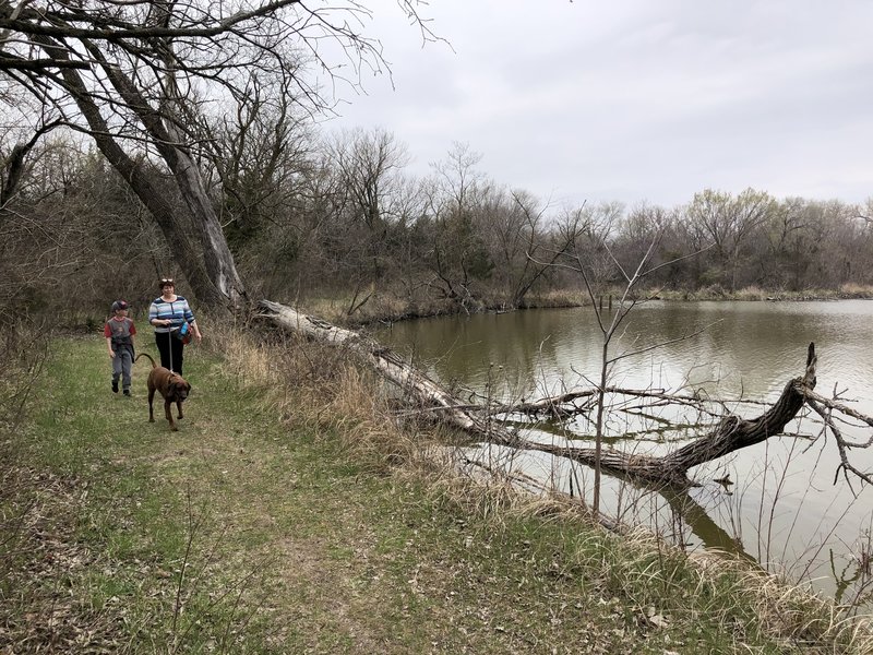 It was about here where we started running into water snakes.  I doubt they were poisonous, they just gave us the heebie jeebies when they'd slither off into the water really quickly