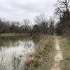 This is the walk along the lake side, very peaceful area.