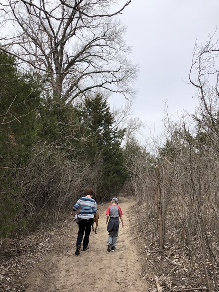 The trail surface through here gets kinda sandy again, but is pretty well packed.