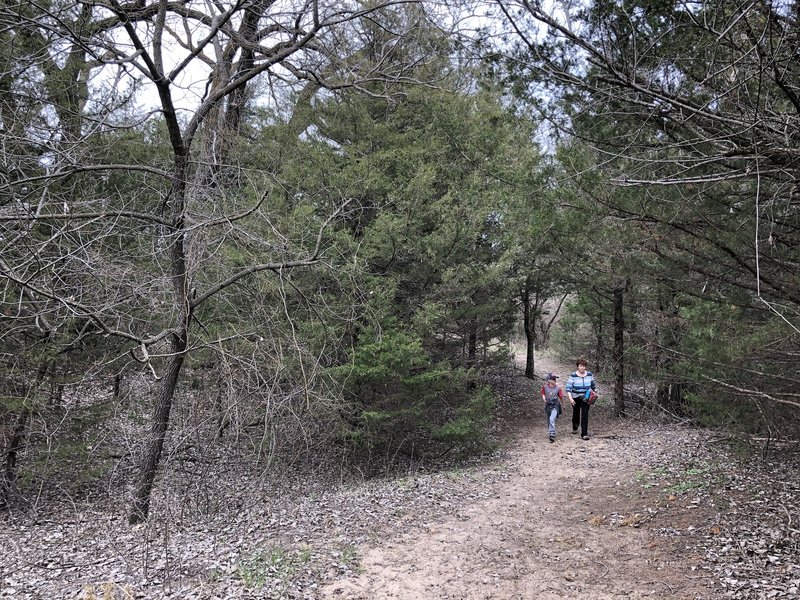 This loop has a couple of small sandy hills and then the muddy area in the low section.