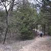 This loop has a couple of small sandy hills and then the muddy area in the low section.