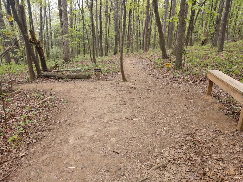 Purser-Hulsey Backside Loop Hiker Entrance