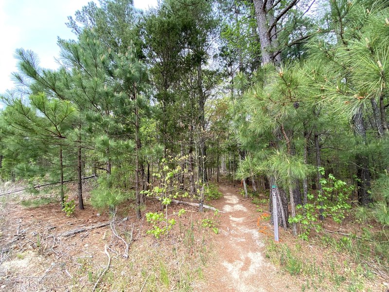 Woods Run trailhead near Woods Charter School