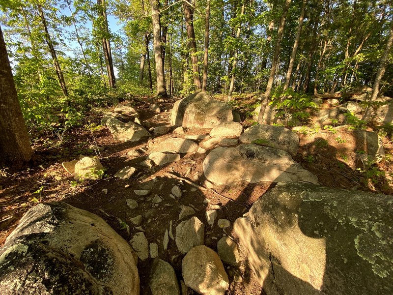 One of the rocky sections along Wildwind Trail