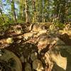 One of the rocky sections along Wildwind Trail