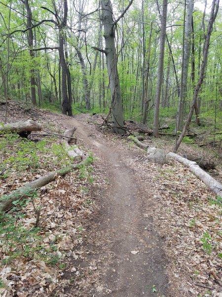 Mid point of trail