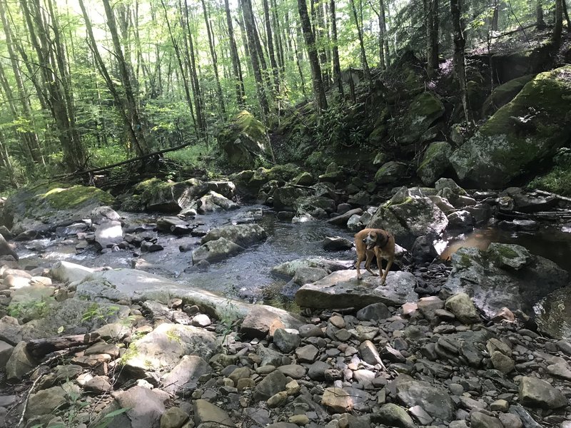 Tea Creek Crossing on the Tea Creek Trail.