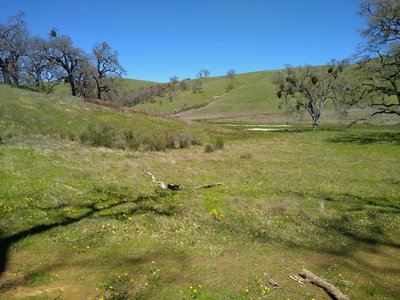 A small creek runs through this wide high creek valley, with a marshy area along the creek, at the Washburn/Canada de Pala trail junction.
