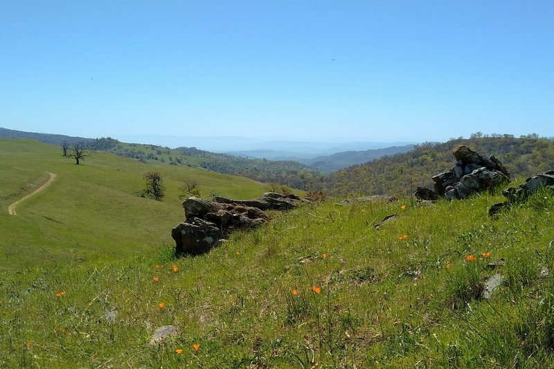 The Monterey Peninsula is in the far distance to the south, beyond the distant Santa Cruz Mountains, that are on the far side of Santa Clara Valley, seen from high on Antler Point trail.