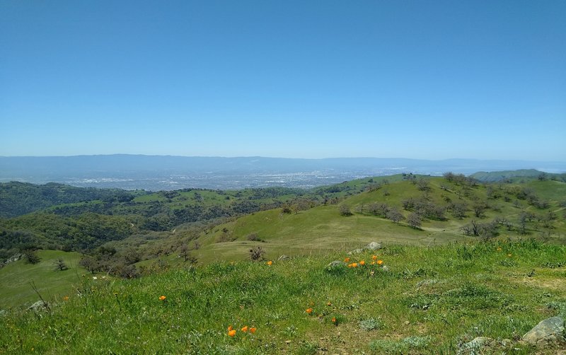 Metropolitan Santa Clara Valley sprawls below at the base of the blue Santa Cruz Mountains in the far distance, seen looking west-southwest from Mariposa Point at the end of Antler Point trail.