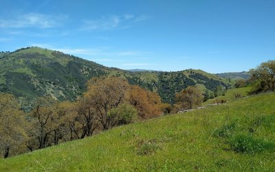 The rugged hills of the Diablo Range, to the northeast, as seen from Antler Point Trail.