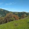 The rugged hills of the Diablo Range, to the northeast, as seen from Antler Point Trail.