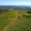 The blue Santa Cruz Mountains are in the far distance.  Closer, and separated from the Santa Cruz Mountains by Santa Clara Valley, is the ridge of the west side of the broad San Felipe Creek Valley.  Close up is the Tamien Trail ridge with spring flowers.