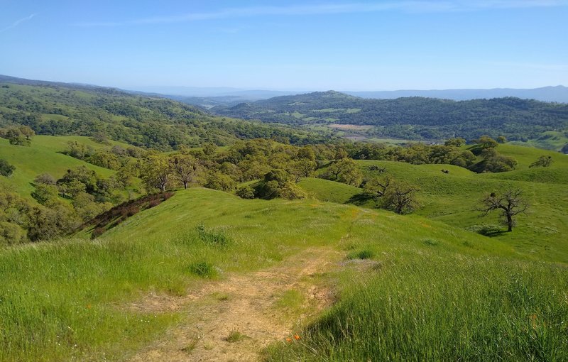 Center left, very far distance is Monterey Peninsula. In front of it in the distance is Anderson Lake in Santa Clara Valley below these Diablo Range hills. Blue Santa Cruz Mountains, and San Felipe Creek Valley and its west ridge (right distance).