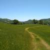 Bass Lake Trail winds through the spring green grass and wooded hills of Joseph D. Grant County Park.