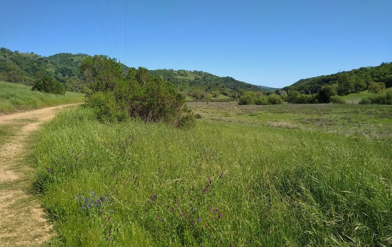 The broad San Felipe Creek Valley as seen from Lower Hotel Trail.