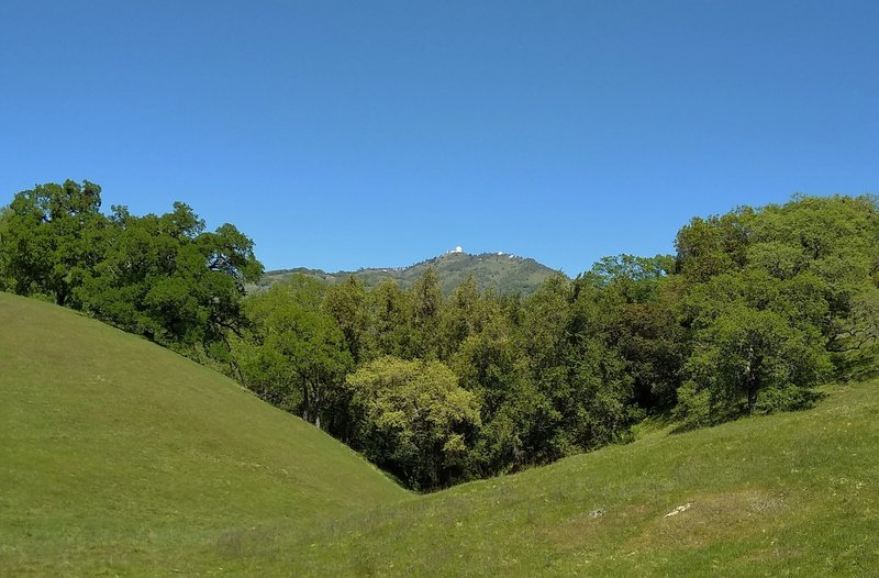 Mount Hamilton, 4,265 ft., with Lick Observatory on its summit, is seen to the east-northeast towards the end of Hotel Trail.