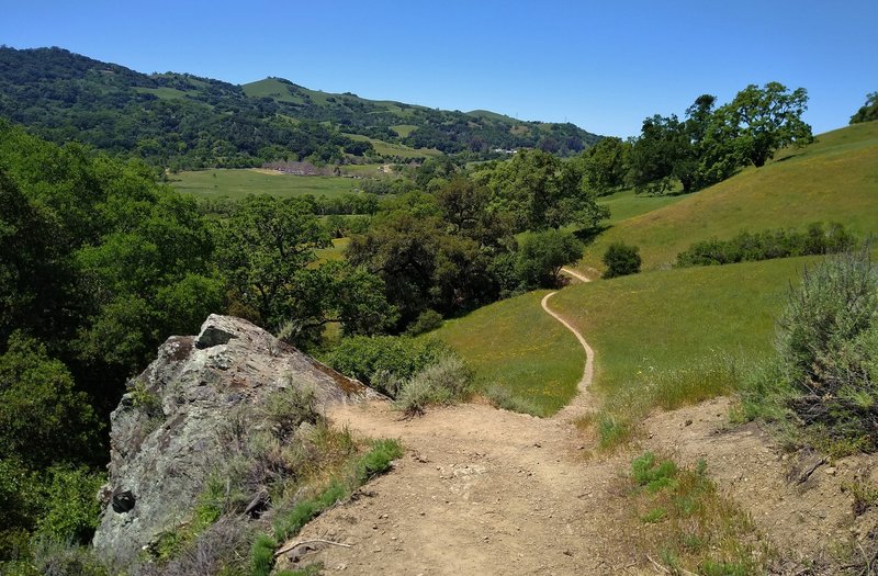 The broad San Felipe Creek Valley and wooded hills to the west, when descending Loop Trail.