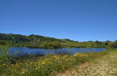 Grant Lake, nestled in the grass hills, is passed by wildflower adorned Bernal Trail.