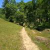 Cut Off Trail is a short cut from grassy Yerba Buena Trail, to the wooded section of Loop Trail.