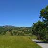 The wooded and grass hills of the Diablo Range, including Mt. Hamilton, 4,265 ft., with Lick Observatory on its summit, are seen to the east from Grant Trail.