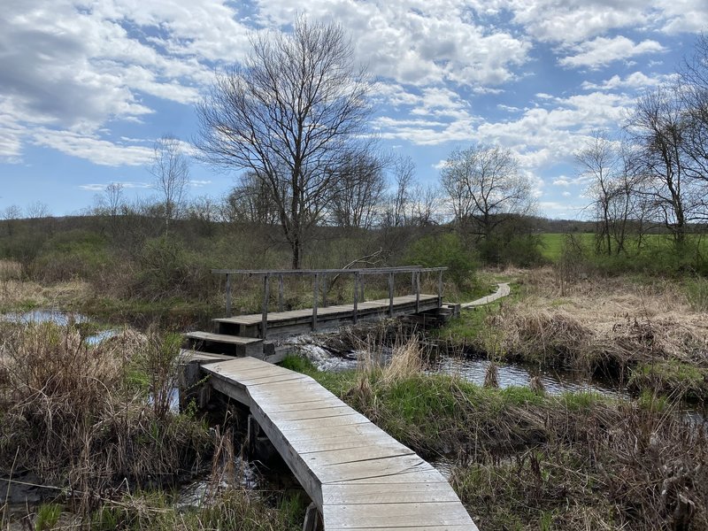 Bridge Over Marsh/Stream