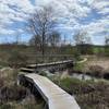 Bridge Over Marsh/Stream