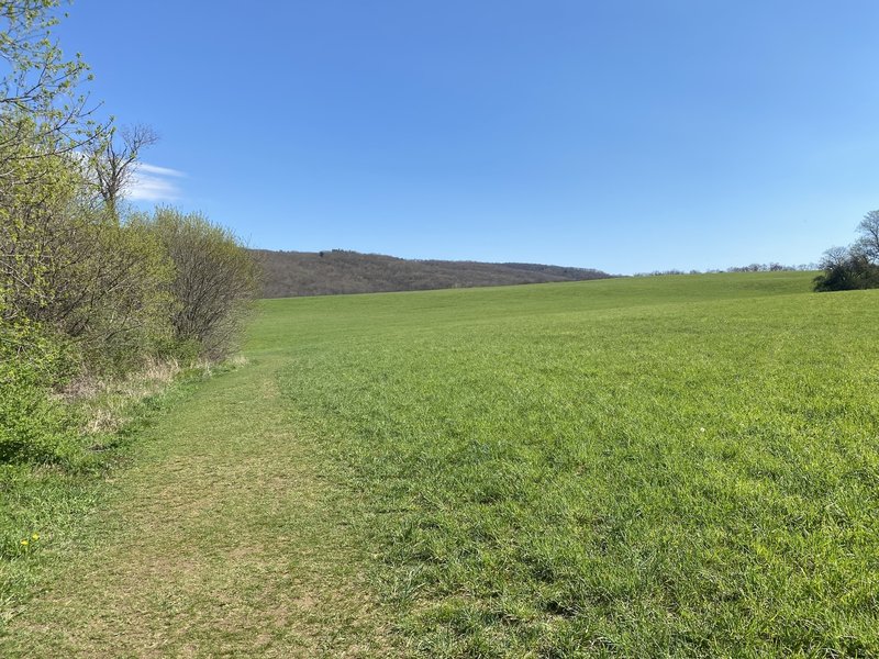 Hay field from Meeker Trail