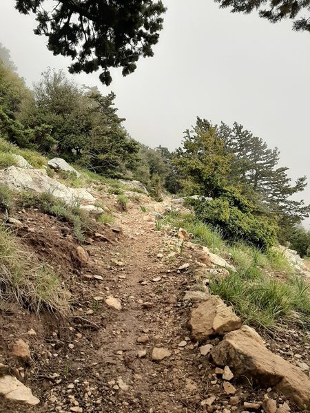 Trail heading uphill