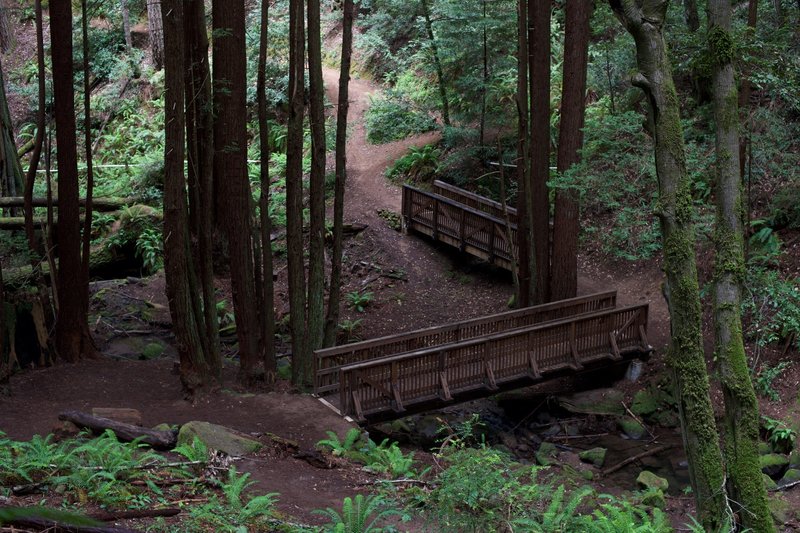 Bridges cross the El Corte de Madera Creek on the Methuselah Trail.  Its a nice place to take a break.