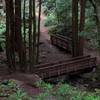 Bridges cross the El Corte de Madera Creek on the Methuselah Trail.  Its a nice place to take a break.