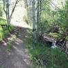 Martindale Fork is a nice, wide, multi-use trail that runs alongside a pleasant stream