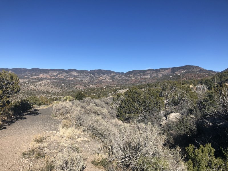 Grandview Trail (T130) scrubland